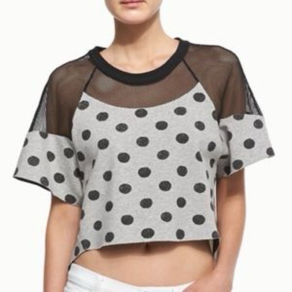 Robert Rodriguez Gray Polka Dot Crop Top with Black Mesh
